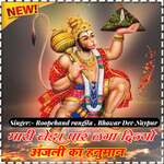 Mari beda par laga dijyo anjli ka hanuman