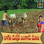 Nagali Dunneti Bangaru Maridhi