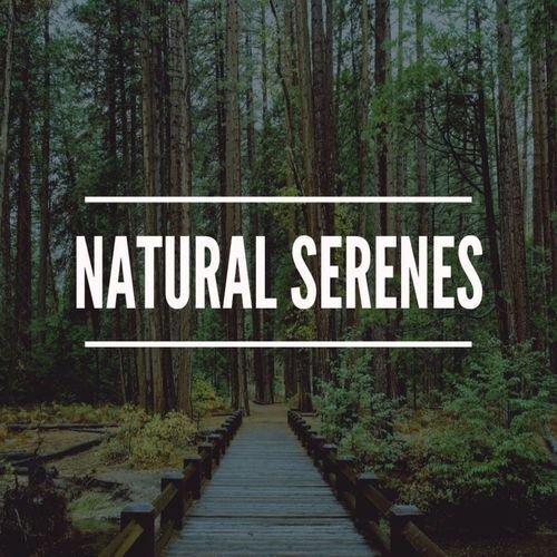 Natural serenes_poster_image