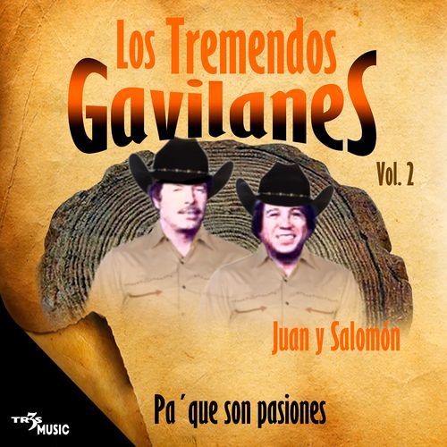 Estrellita del norte cover art