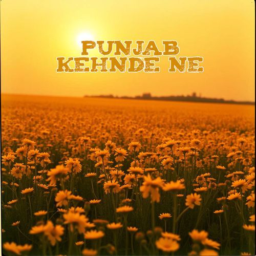 Punjab Kehnde Ne