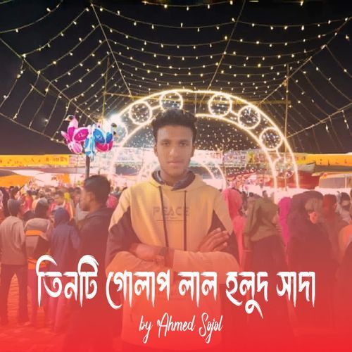 তিনটি গোলাপ লাল হলুদ সাদা