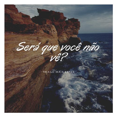 Será Que Você Não Vê? cover art