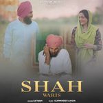 Shah Waris