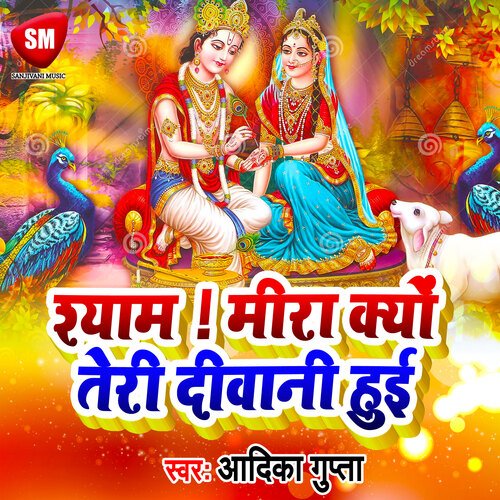 Shyam Meera Kyon Teri Diwani Hai (Bhojpuri)