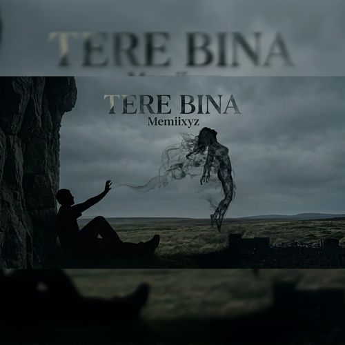 Tere Bina