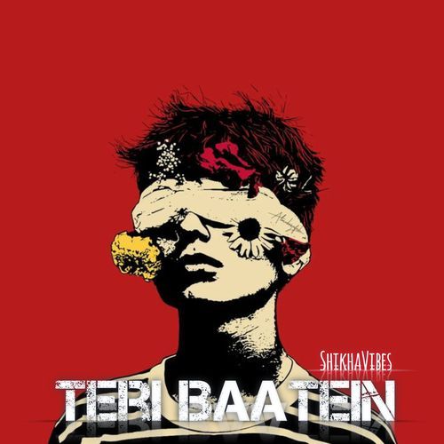 Teri Baatein