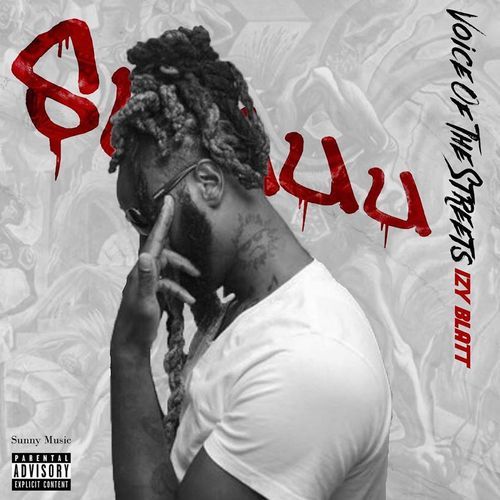 Straight Facts cover art