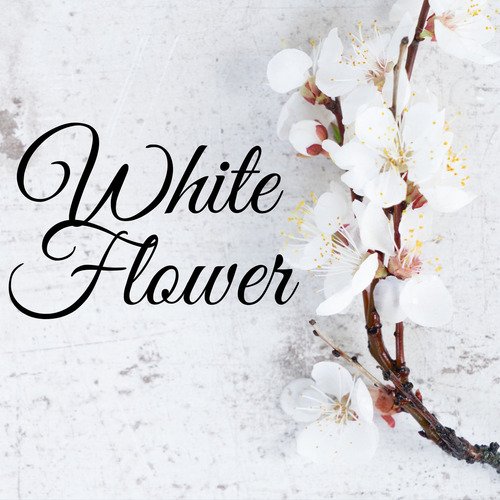 White Flower_poster_image