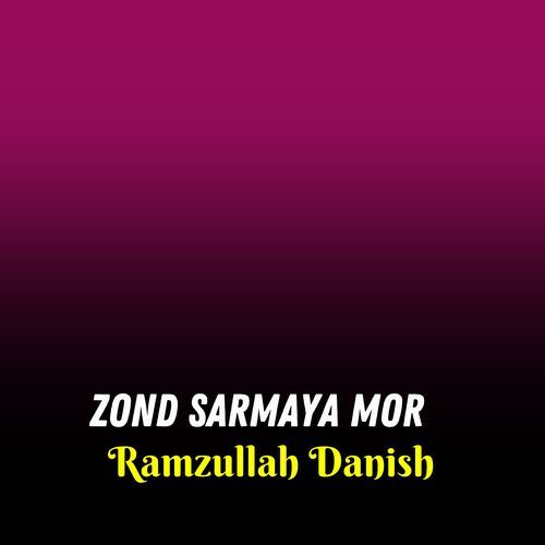 Zond Sarmaya Mor