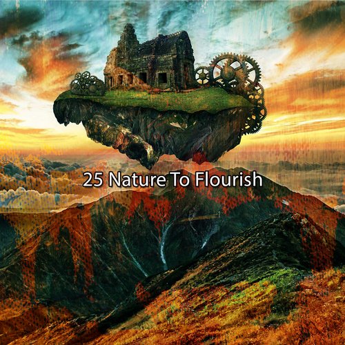 Wild Ambience cover art
