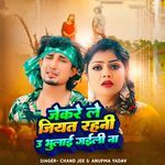 जेकरे ले जियत रहनी 3 भुलाई गईली ना