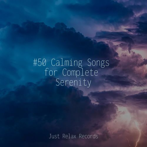 #50 Calming Songs for Complete Serenity