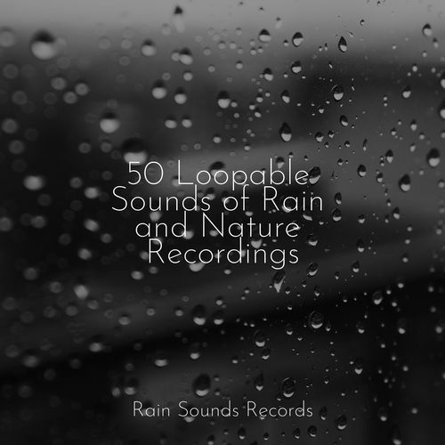 50 Loopable Sounds of Rain and Nature Recordings