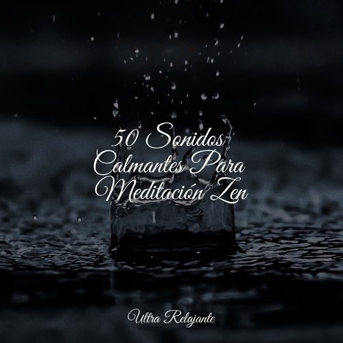 50 Sonidos Calmantes Para Meditación Zen