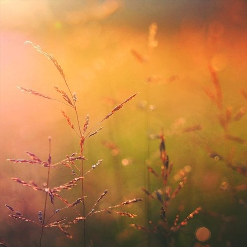 Summer Rain Shower Spa cover art