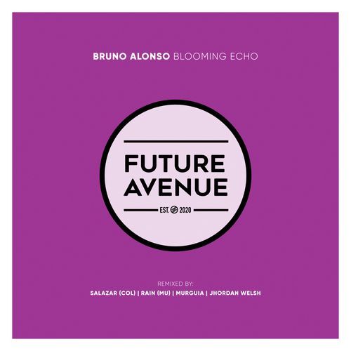 Blooming Echo (Jhordan Welsch Remix) cover art