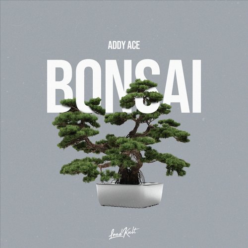 Bonsai_poster_image