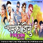 Chamki Dogu Me Poyari Dandiya Nacha Aali, Pt. 1