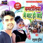 Chamtoliya Me Mar Ho Jai