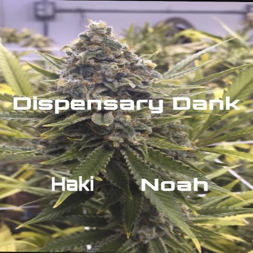 Dispensary Dank