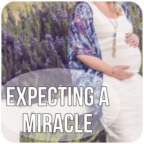 Pregnancy Meditation cover art
