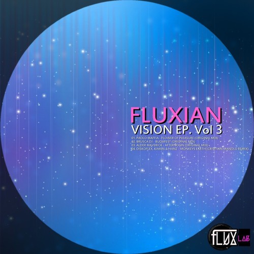 Fluxian Vision, Vol. 3