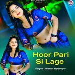 Hoor Pari Si Lage