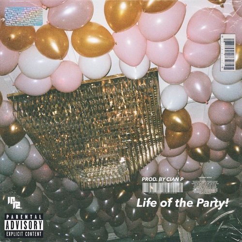 Life of the Party!_poster_image