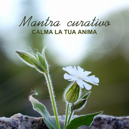 Musica terapeutica cover art