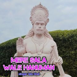 Mere Sala Wale Hanuman
