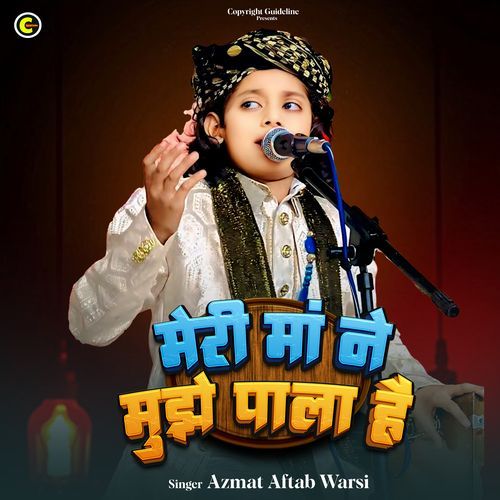 Meri Maa Ne Mujhe Pala Hai cover art