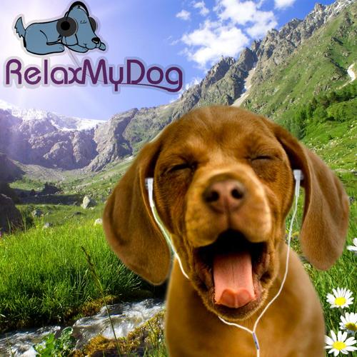Music to Calm Your Dog - Relaxation Music for My Dog