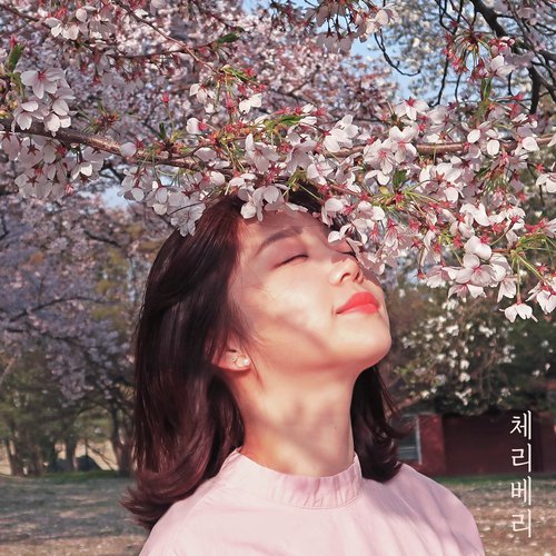 My Ideal Type Songs Download Free Online Songs JioSaavn