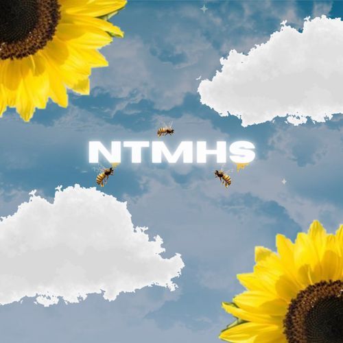 NTMHS