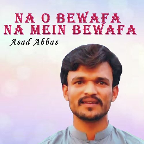 Na O Bewafa Na Mein Bewafa