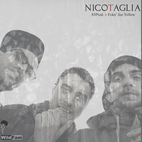 Nico Taglia cover art
