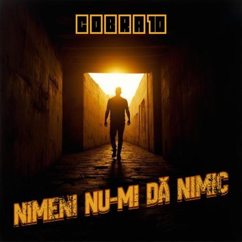Nimeni nu-mi dă nimic cover art
