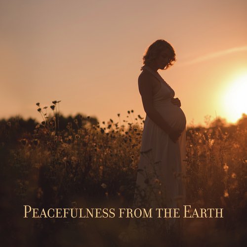 Mindfulness for Pregnant Women cover art