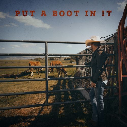 Put A Boot In It_poster_image