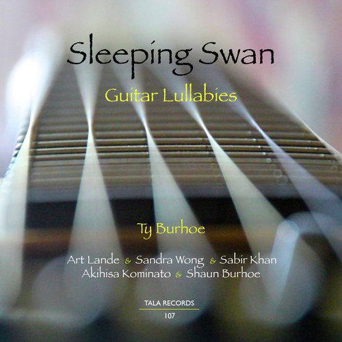 Sleeping Swan