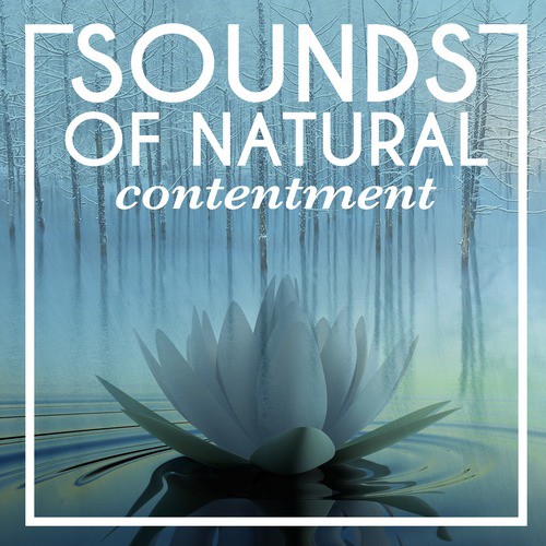 Sounds of Natural Contentment