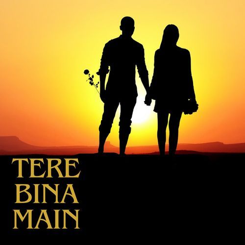 Tere Bina Main