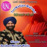 Teri Nabjan Wali Sui