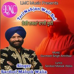 Teri Nabjan Wali Sui