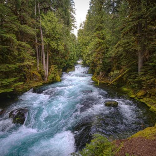 The Great River