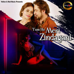 Tum Ho Meri Zindagani-IC0vdyVbc3o