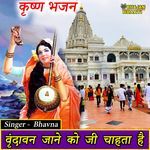Vrindavan Jane Ko Jee Chahta Hai