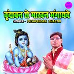 Vrindavan Se Makhan Mangayede