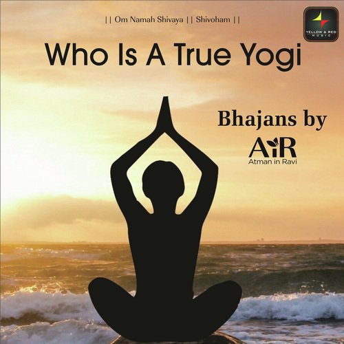 Who Is A True Yogi